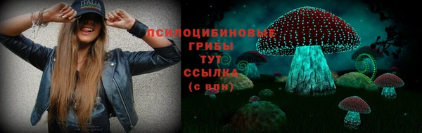 мяу мяу мука Алзамай