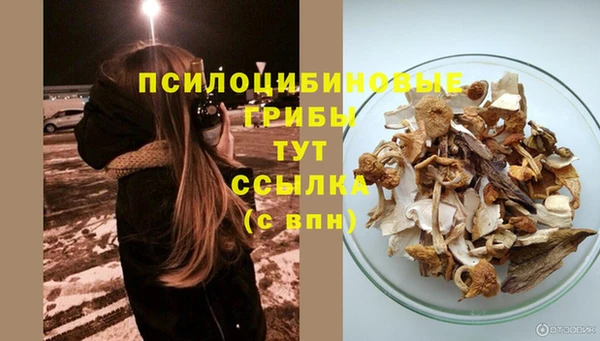 mix Осинники