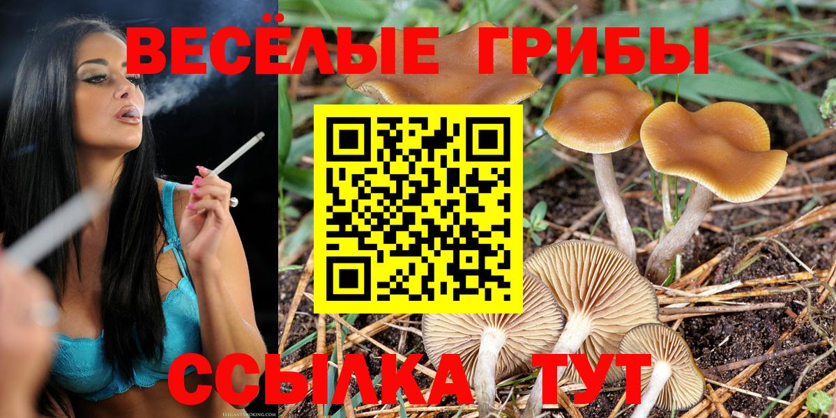 Псилоцибиновые грибы MAGIC MUSHROOMS Сатка